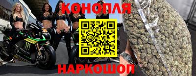 a pvp Ставрополь