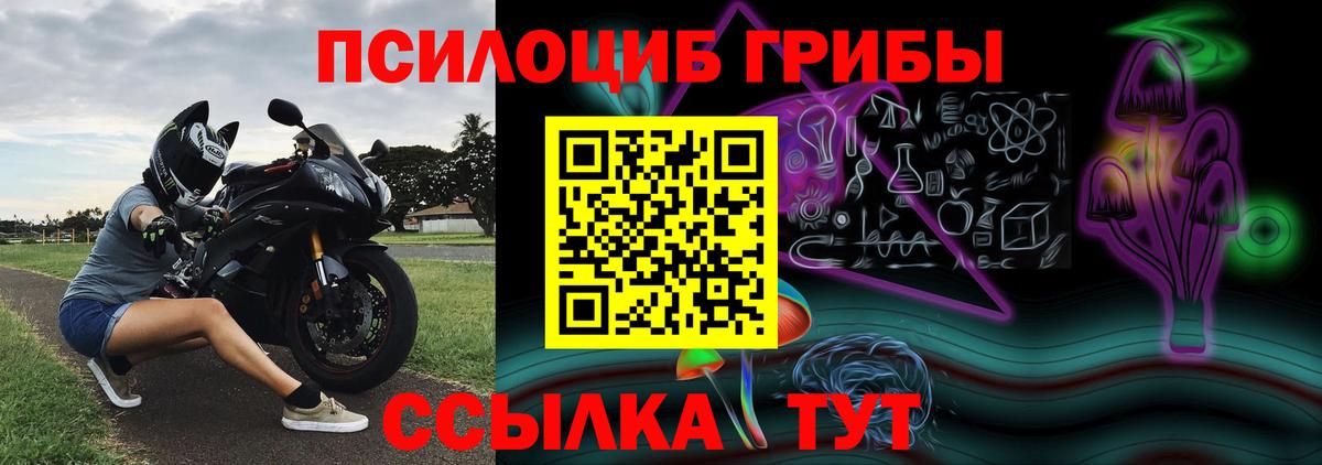 Галлюциногенные грибы Psilocybe  Вход с VPN  Новочеркасск  Галлюциногенные грибы Magic Shrooms 
